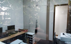 The Canopy (D27), Condominium #544582841